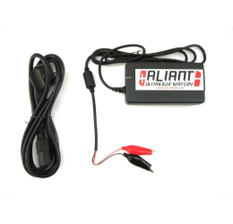 Caricabatterie Aliant 3ampere (Carica tutte le batteria al litio Aliant)