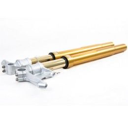 Fork Ohlins FGRT 200 R&T NIX 43mm for BMW S 1000 RR 19-21 (GOLD sheaths)